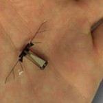 Robotic Fly Takes Off